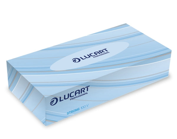 Lucart Kosmetiktuch 40 Boxen 2-lagig, weiss